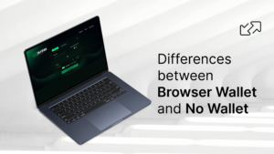 Read more about the article <h1 style="font-size: 40px;">Differences Between No Wallet & Browser Wallet</h1>